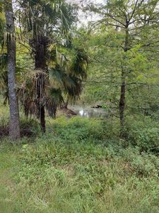 1100 Magnolia Dr
