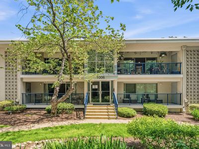 1006 Primrose Rd APT 303