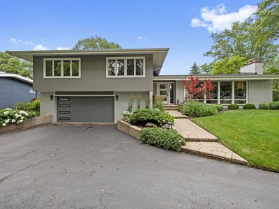 711 Elder Ct