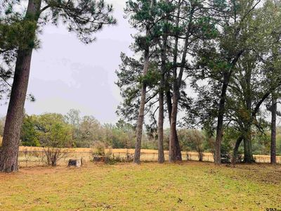 431 County Road 2715