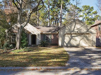 10 S Greenbud Ct