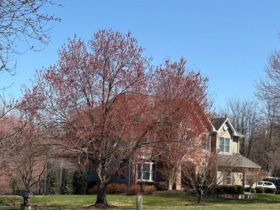 5524 Adams Ridge Rd