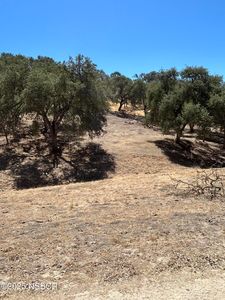 77517 Lowes Canyon Rd
