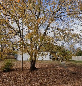 Property at 1106 Wilson St, Lexington, NC