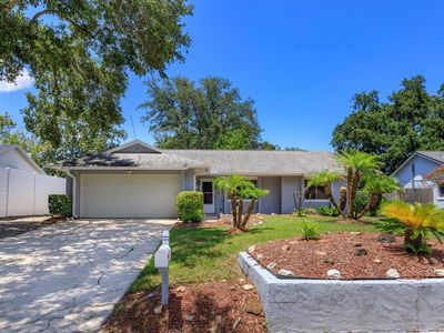 3325 Sassafras Ct