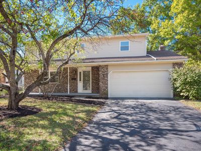 1065 Tiffany Dr