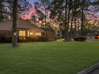 3203 Golden Willow Dr