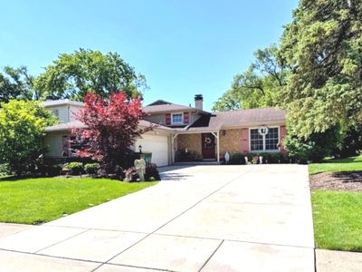 243 Palmgren Ct