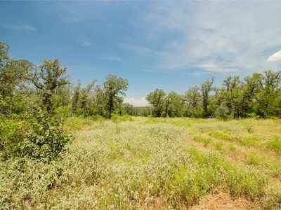 2564 Bluestem Crest Ln