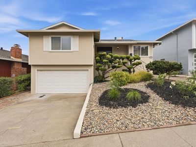 316 Courtland Dr