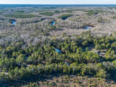 1320 Douglas Fish Camp Rd