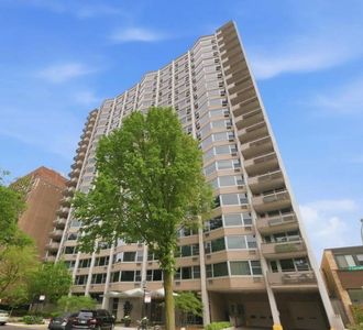 555 W Cornelia Ave APT 1308