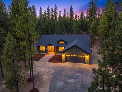 52081 White Fir