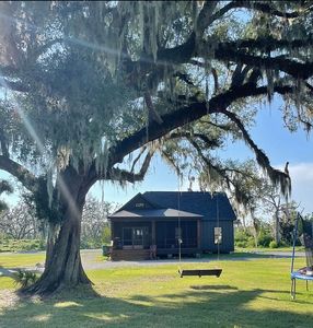1341 Jean Lafitte Blvd