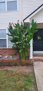 4062 Cedars Pkwy APT B