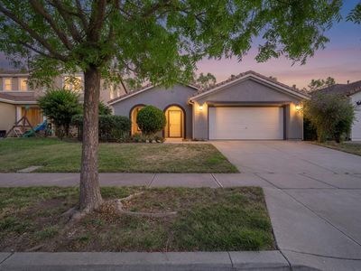 1441 Tori Ln