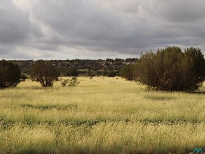 2600 Pajarito Rd