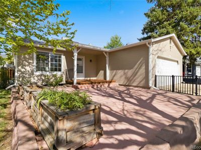 8389 Curlycup Place