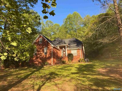 242 County Road 555