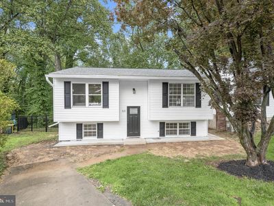 64 Wohl Ct
