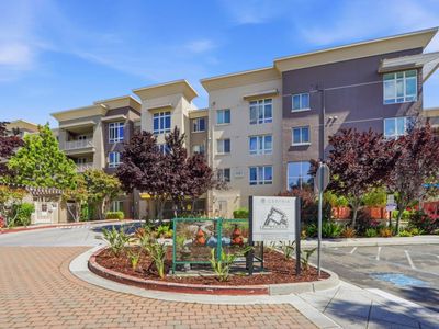 1101 S Main St APT 316