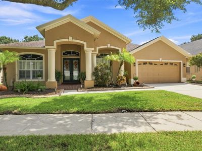19803 GLAZING GLOBE LANE