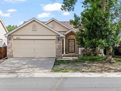 2871 Elaine Drive