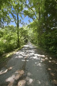 148 Wade Jennings Rd