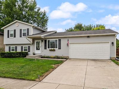 93 Limetree Dr
