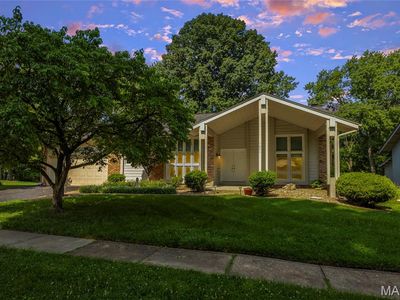 1621 Long Leaf Cir