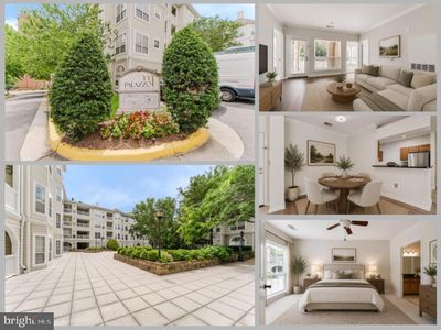 4551 Strutfield Ln APT 4128