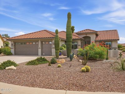 976 N Night Heron Dr