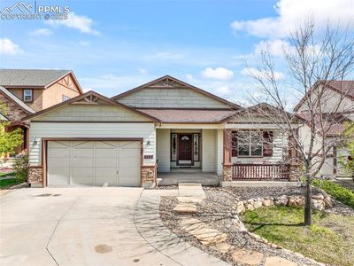 4197 Purple Plum Way