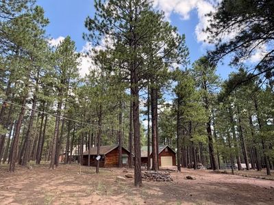 2507 Middle Loop