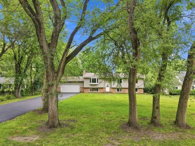 25715 Wild Rose Ln