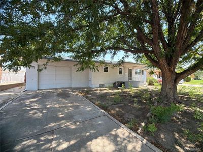 47 Amherst Avenue