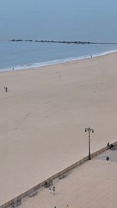 50 Brighton 1 Rd #11D