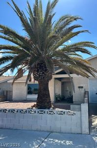 3557 Rosewood St