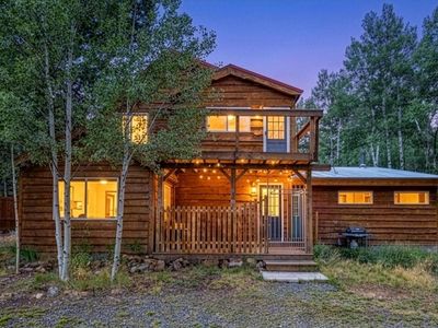 665 Lower Travis Gulch Rd