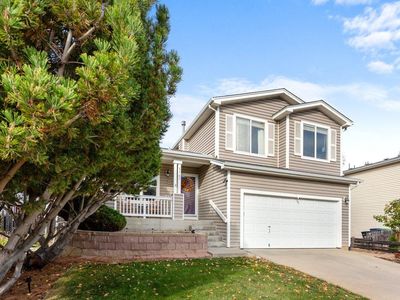 1147 Trout Creek Cir