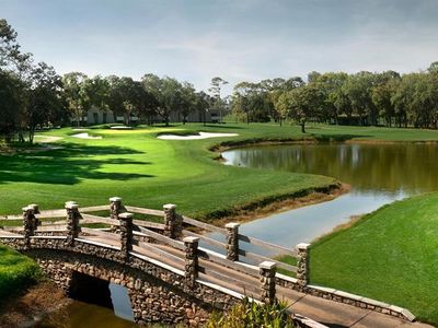 36750 Us Highway 19 N #3-110