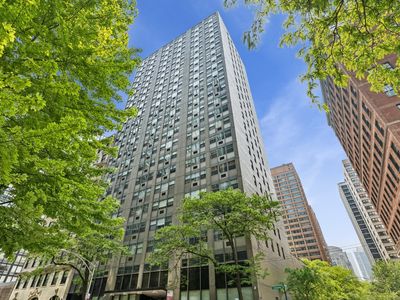 253 E Delaware Pl APT 4D