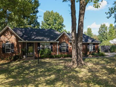 401 Greer Cv
