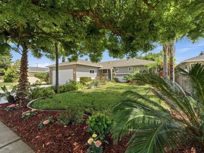 1250 Redcliff Dr