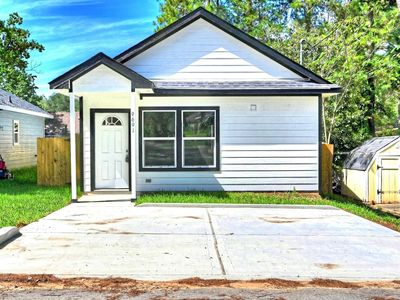 11789 White Cedar