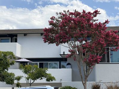 7512 Viejo Castilla Way Unit 17