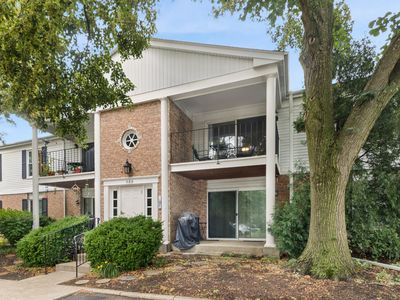 985 Golf Course Rd APT 8