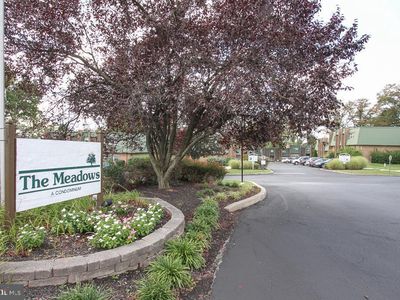 205 Meadowview Ln #205