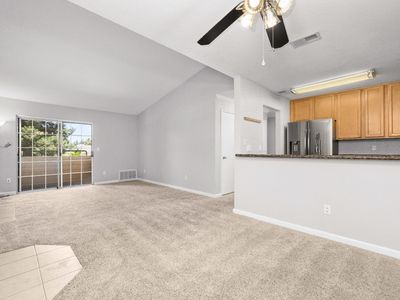 11150 Trinity River Dr APT 144