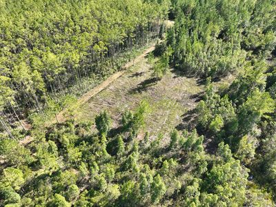 Property at (Undisclosed Address), Waverly, GA